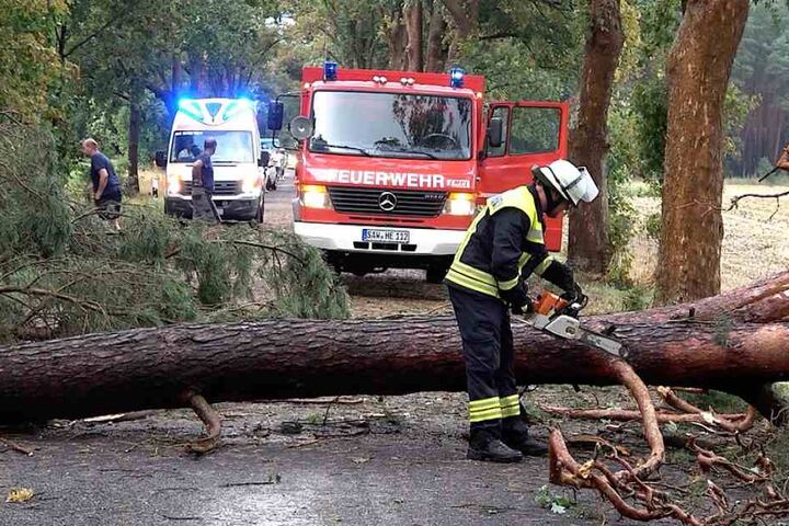 In der Nähe von Gardelegen (Sachsen-Anhalt) stürzten gleich mehrere Bäume auf eine Landstraße, schlossen Autofahrer und sogar einen Rettungswagen im Einsatz ein.