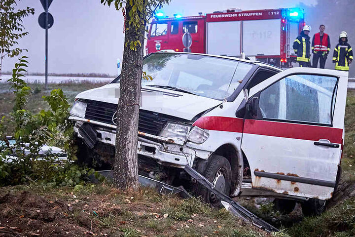 An einem Baum im Straßengraben kam der Transporter zum Stehen.