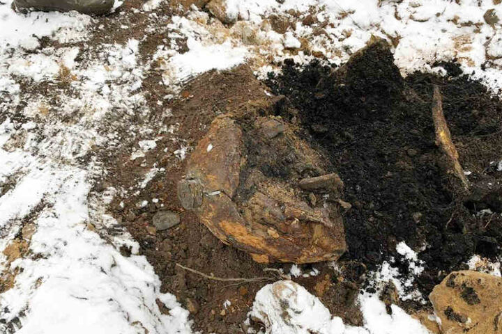 Die Weltkriegsbombe in Troisdorf.
