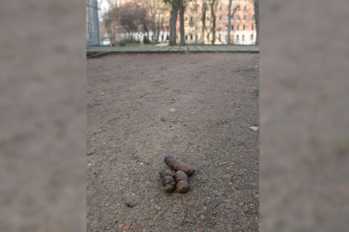 Ärger am Lessingplatz: In den letzten Jahren hat sich das Hundekot-Problem verschärft, so die Anwohner.
