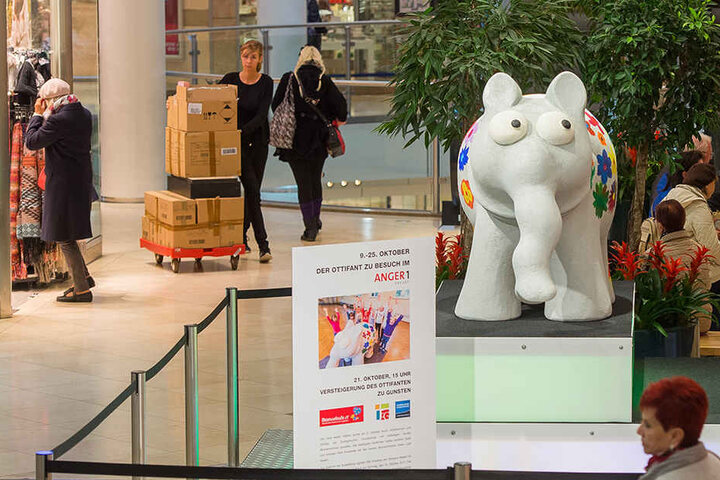 Der Ottifant begrüßt im Erdgeschoss die Besucher des Anger 1.