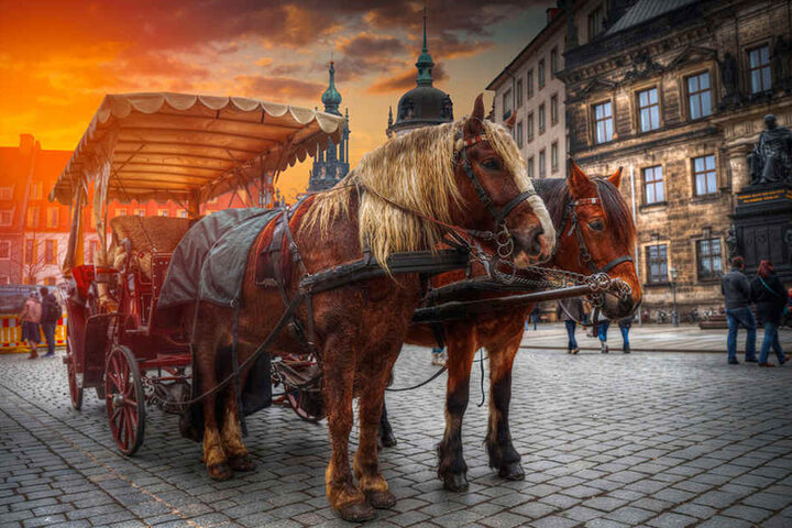 Alle sechs Imagefilme zeigen Dresden von einer anderen Seite. Eine Kutschfahrt durch die historische Altstadt fehlt nicht.