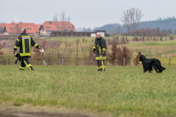 Mit Leckeres wurde der Hund von der Straße geholt.