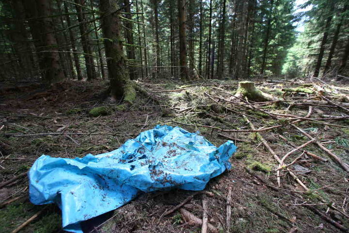 Die Skelettteile von Peggy wurden in einem Wald in Thüringen gefunden.