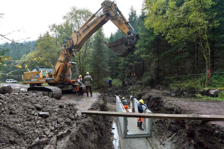 Der Kohlenbach im Thüringer Wald wird in seinen ursprünglichen Verlauf zurückgebaut.