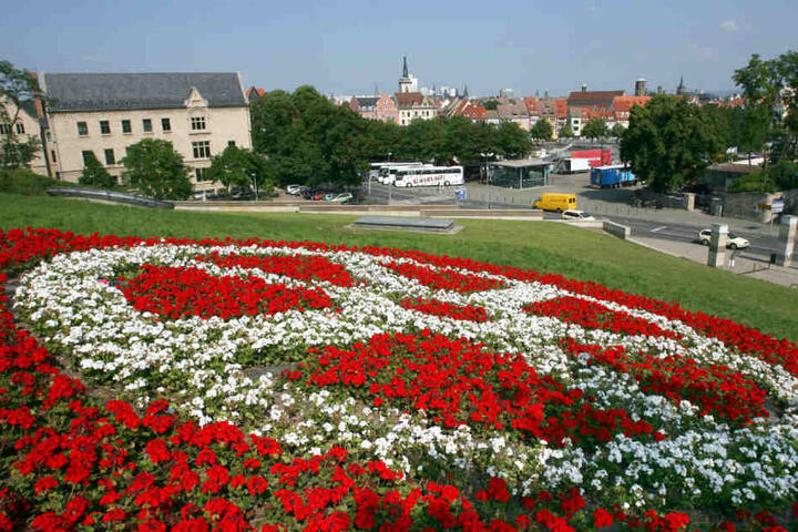 Das riesige Blumenrad auf dem Hang soll dem 600 Meter langen Zickzackweg weichen.