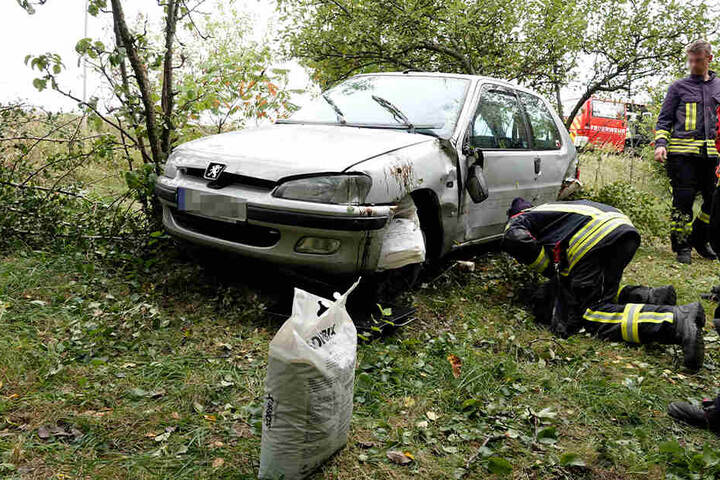 Der Peugeot kam erst im Gebüsch zum Stehen.