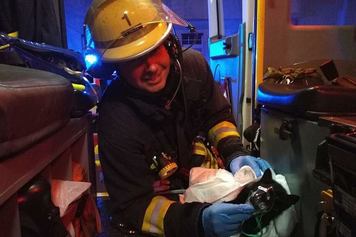 Feuerwehrmann und Notfallsanitäter Simon Wilke (32) hat die Katze vor den lodernden Flammen gerettet.