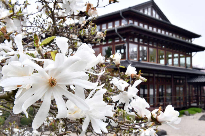 Im Japanischen Garten in Bad Langensalza wird am Wochenende gefeiert.