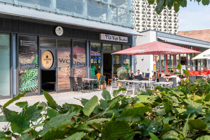 Chris Glaubitz (33) will in seiner "Woods"-Bar für Wohlfühlatmosphäre sorgen.
