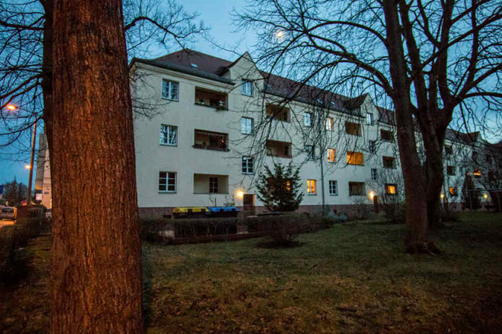 In diesem Kiez im Leipziger Süden wurden 2017 die ersten erschossenen Krähen gefunden.