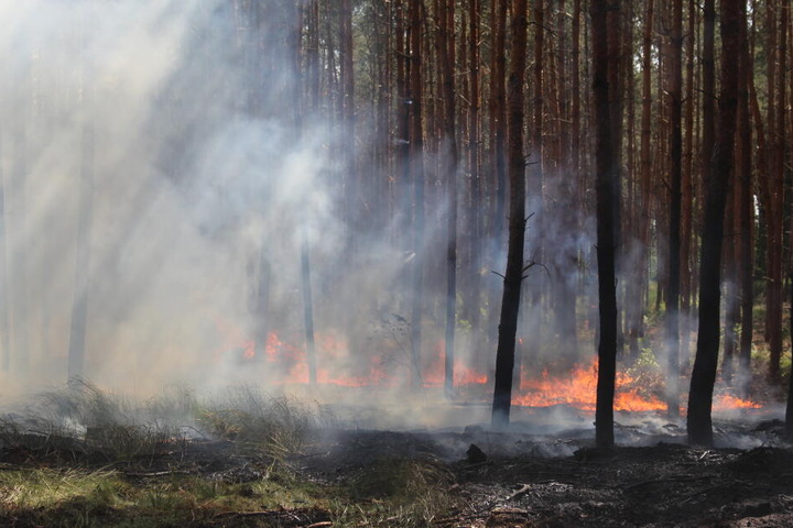 Die Feuerwehr versucht derzeit, das großflächige Feuer zu löschen.