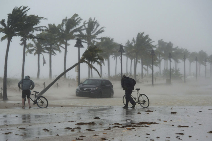 "Irma" knickte Palmen um, wie Streichhölzer