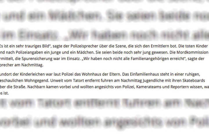 Die Falschmeldung erinnert an einen realen Fall aus Wedel.