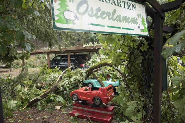 In Waschleithe stürzte ein Baum auf den Biergarten eines Hotels.