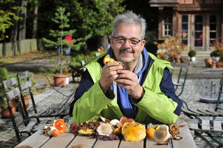Pilzexperte Peter Welt (58) warnt vor Giftpilzen, die essbaren Pilzen zum Verwechseln ähnlich sehen.