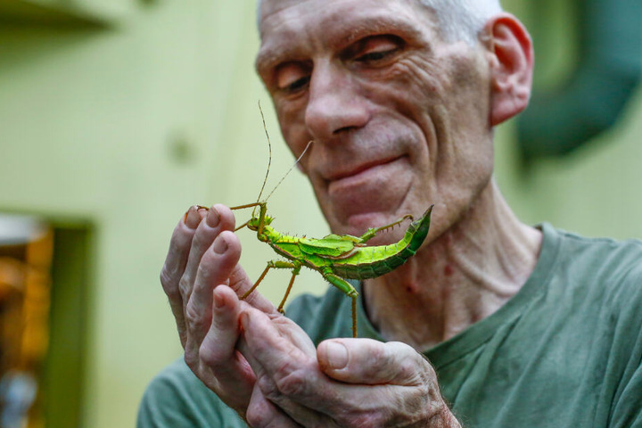 Auch die Dschungelnymphe wird von Tierpfleger Olaf Lohnitz (55) bei der Inventur gezählt.