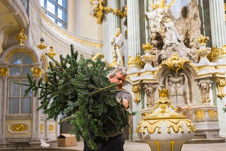Der Weihnachtsbaum wird entsorgt.