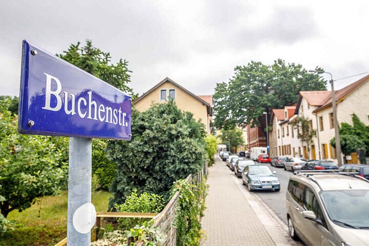 Auf dem beschaulichen Teil der Buchenstraße im Hechtviertel spielten sich nachts im Herbst dramatische Szenen ab.