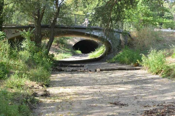 So wie die Prießnitz an der Elbe-Mündung in Dresden sind im ganzen Freistaat zahlreiche Bäche und Flüsse in Teilen ausgetrocknet.