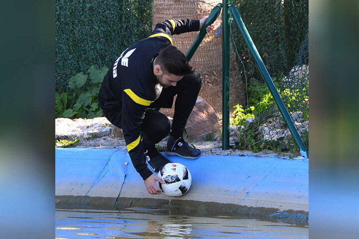 Fehlschuss! Niklas Kreuzer fischt (!) einen Ball aus einem Bassin, das sich direkt neben dem Trainingsplatz der Dresdner befindet.