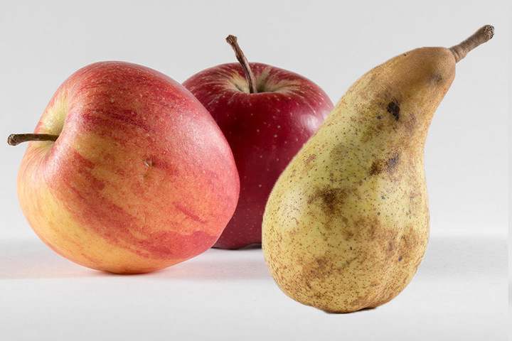 Selbst das Obst aus dem Bio-Laden war vor der 72-Jährigen nicht sicher.
