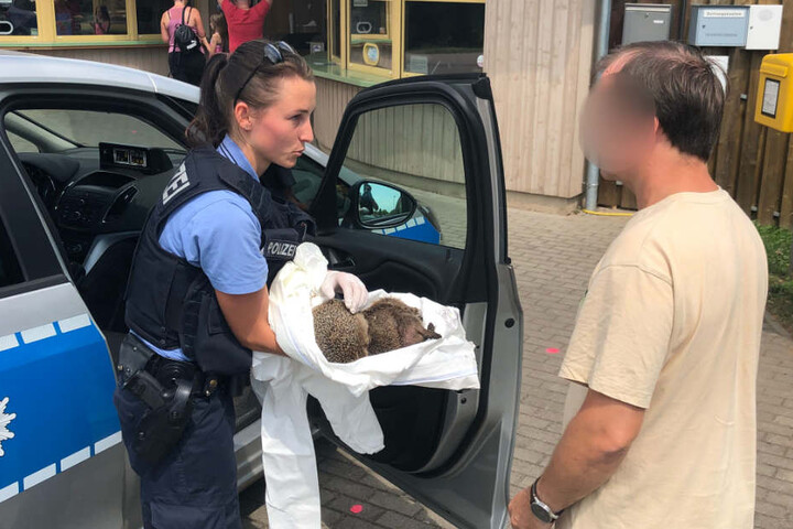Eine Polizistin brachte die verkaterten Igel in den Zoo.