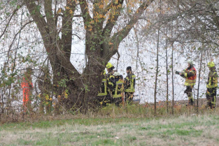 Der See liegt bei Naunhof im Landkreis Leipzig.