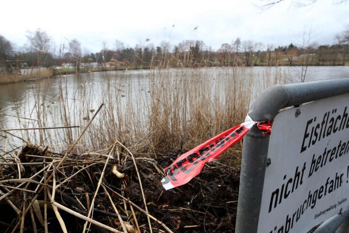 Der Geleitsteich in Planitz neben dem Strandbad. Hier wurde die Schülerin am Dienstagmorgen tot im Wasser entdeckt.