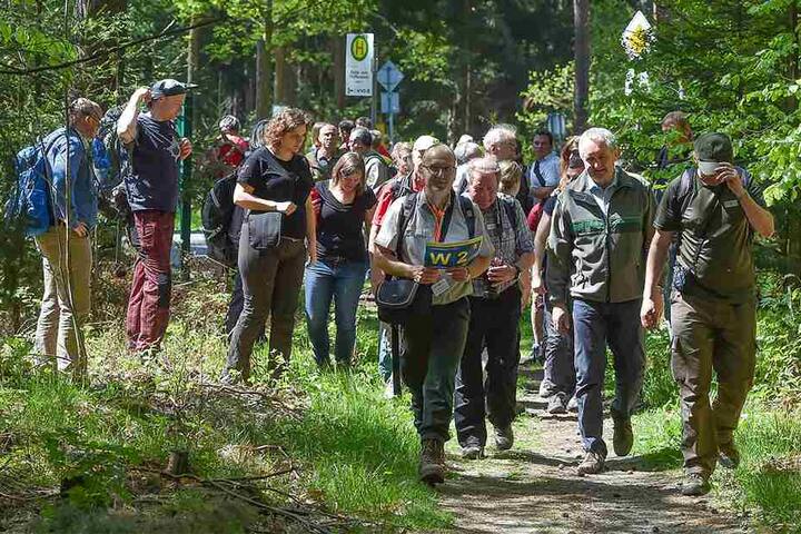 Zur Eröffnung begab sich der Umweltminister mit seinen Gästen auf eine Kurzwanderung. Zwei Drittel der Fortsteig-Route verlaufen auf sächsischem, der Rest auf tschechischem Territorium.