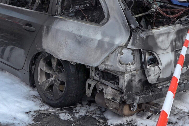 Der Fahrer kam mit seinem Auto von der Straße ab und krachte gegen einen Baum, dann ging das Auto in Flammen auf. (Symbolbild)