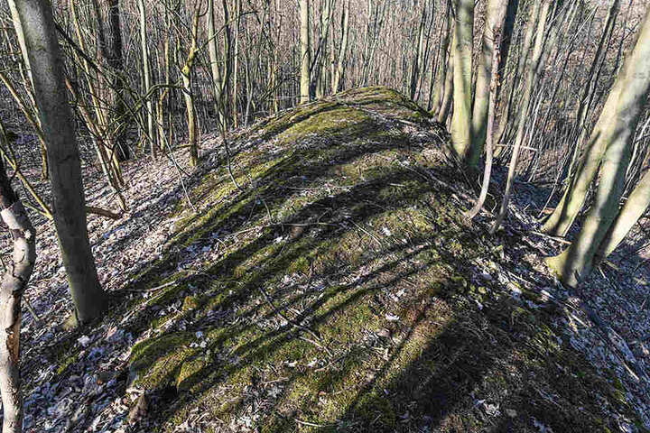Von oben holt sich die Natur ihr Revier zurück.