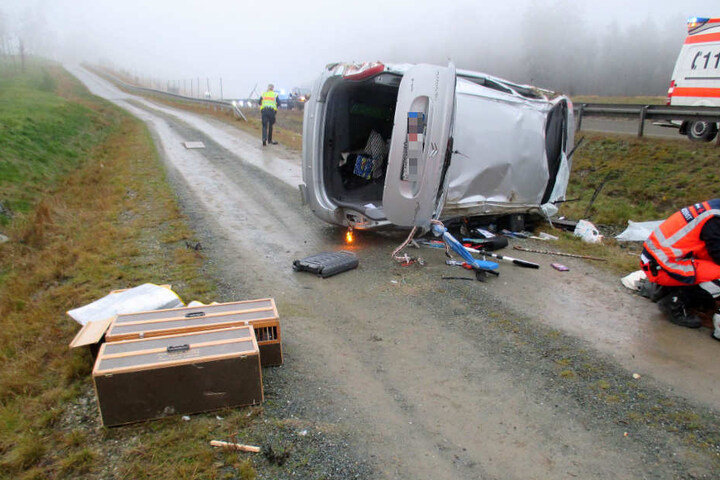 Die Tauben waren in Boxen (v.li.) transportiert worden.
