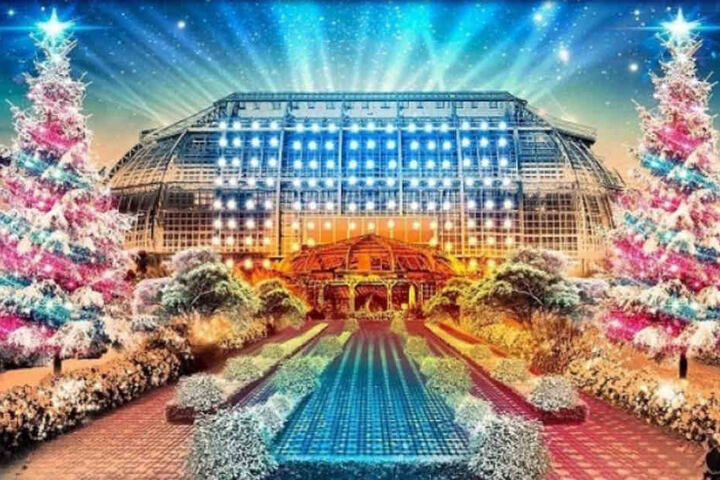 Lasst Euch im Botanischen Garten Berlin vom "Christmas Garden" verzaubern.