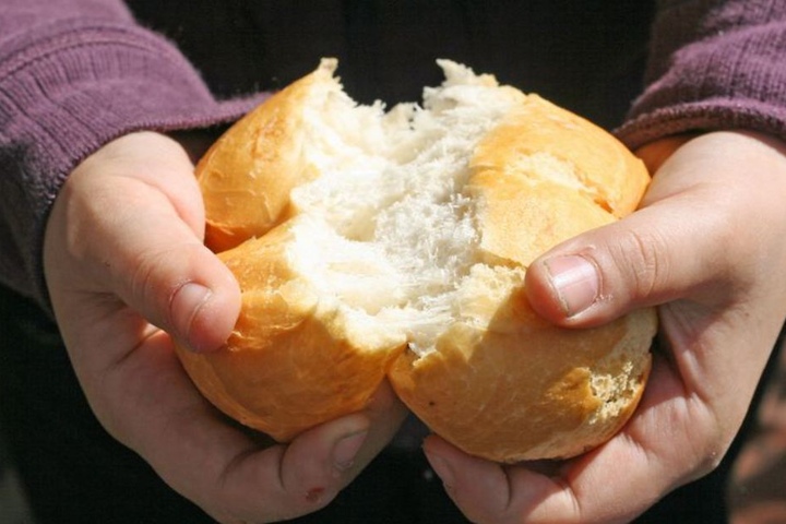 Mit Brotkrümeln lockte er die Hühner vom Gelände. (Symbolbild)