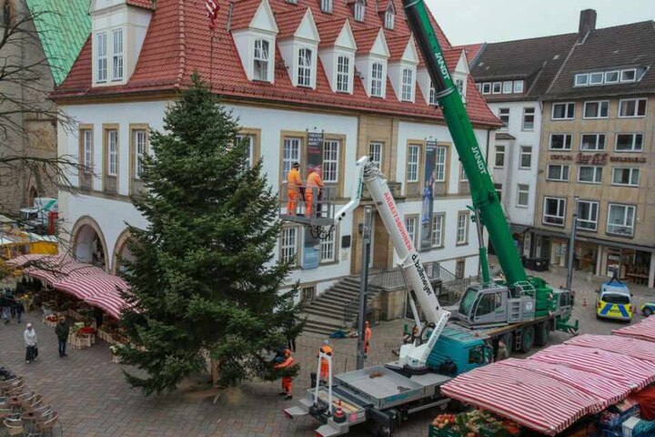 Auch auf dem Alten Markt steht der Baum bereits.