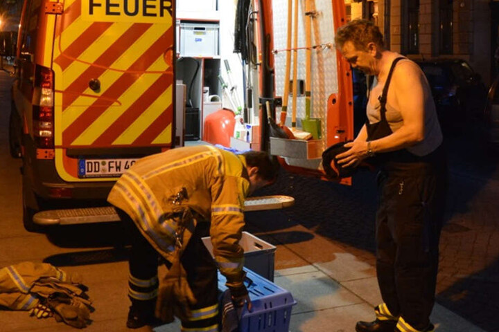 Die Helfer rückten an, um das Tier zu befreien. Einer gab sogar "sein letztes Hemd".