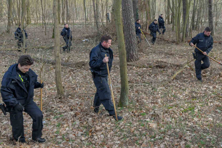 Polizisten durchforsten ein Waldstück bei Storkow.