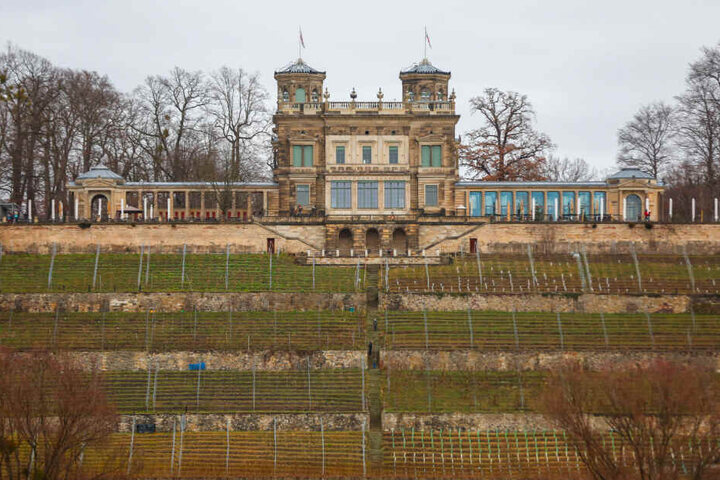 Das Lingnerschloss ist auch ein beliebter Veranstaltungsort.