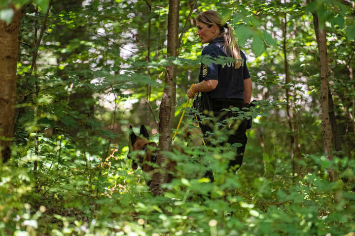Eine Polizistin sucht mithilfe eines Suchhundes in einem Waldstück nach Hinweisen.