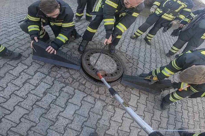 Die Retter packten mit vereinten Kräften an.
