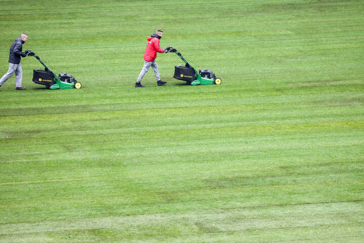 Greenkeeper von RB Leipzig mähen den frisch verlegten Rollrasen in der Red Bull Arena.