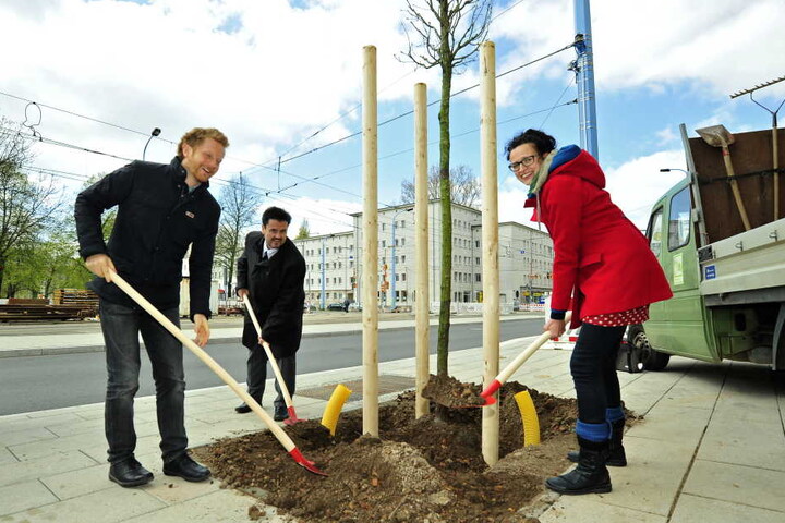 Den ersten Baum pflanzten Stadtteilmanagerin Katrin Günther (38), Baubürgermeister Michael Stötzer (44, Grüne) und CVAG-Vorstand Jens Meiwald gemeinsam.