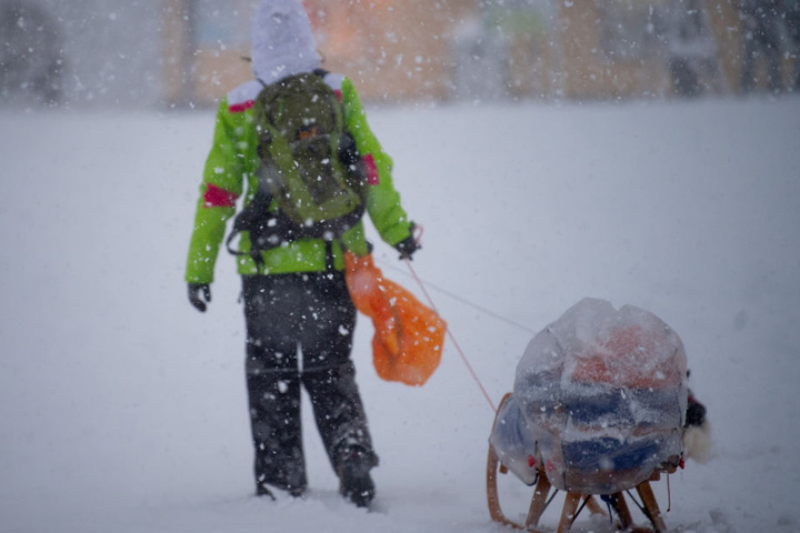 Weiße Pracht in Altenberg: Auf den Straßen ist der Schnee festgefahren, am besten kommt man mit dem Schlitten voran.