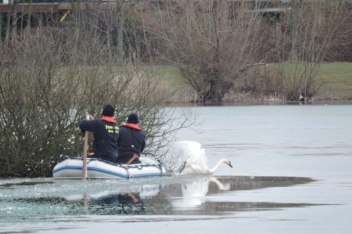 Nach einer Stunde erreichten die Kameraden der Feuerwehr das Tier zwar, dieses befreite sich jedoch selbst und robbte sich auf dem Eis davon.