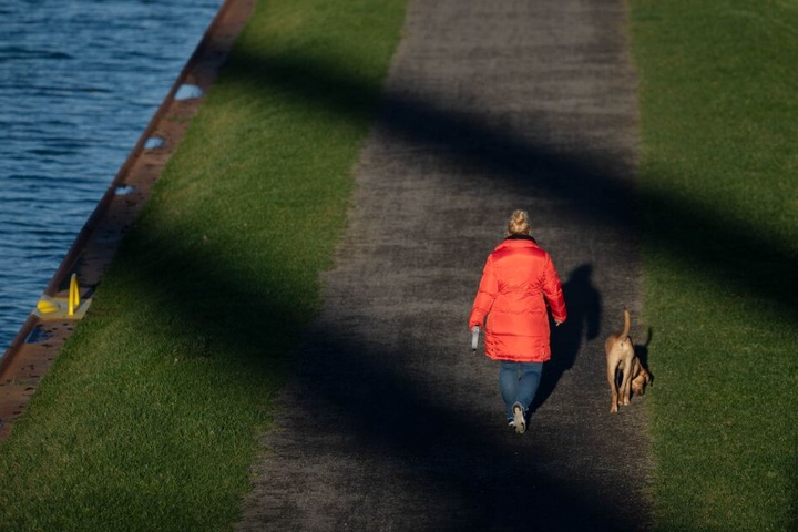 Die Frau war mit ihrem Hund am Deich spazieren gegangen. (Symbolbild)