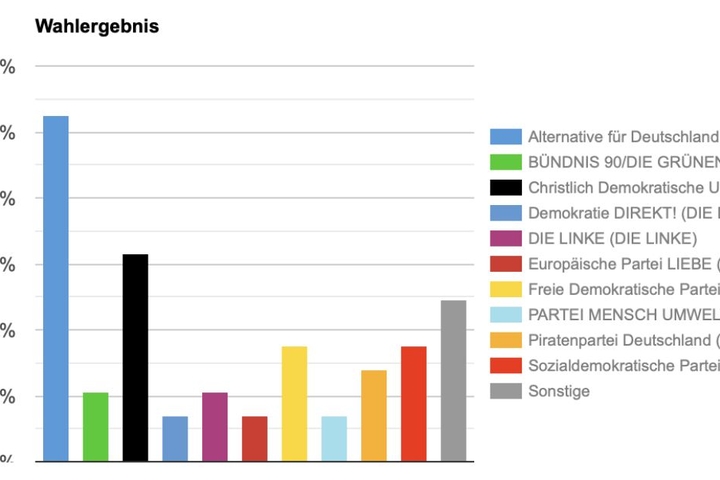 Jugendliche aus dem Landkreis Nordsachsen wählen die AfD.