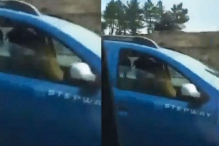 Eimn Fahrer filmte ein Pärchen beim Sex am Steuer während der Fahrt - auf der Autobahn.