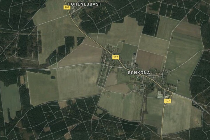 Das Tier war zwischen den Gemeinden Schmerz und Schköna aus einem Waldstück auf die Straße gelaufen und angefahren worden.