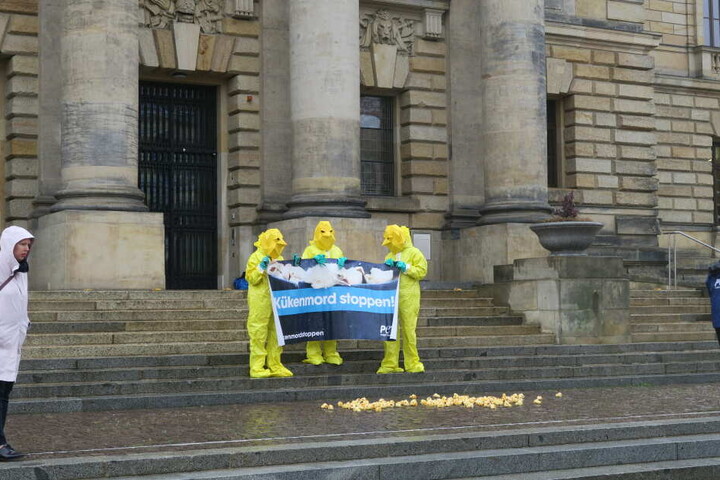 Vor dem Bundesverwaltungsgericht demonstrierten Peta-Anhänger in Kükenkostümen für ein Verbot des millionenfachen Tötens.